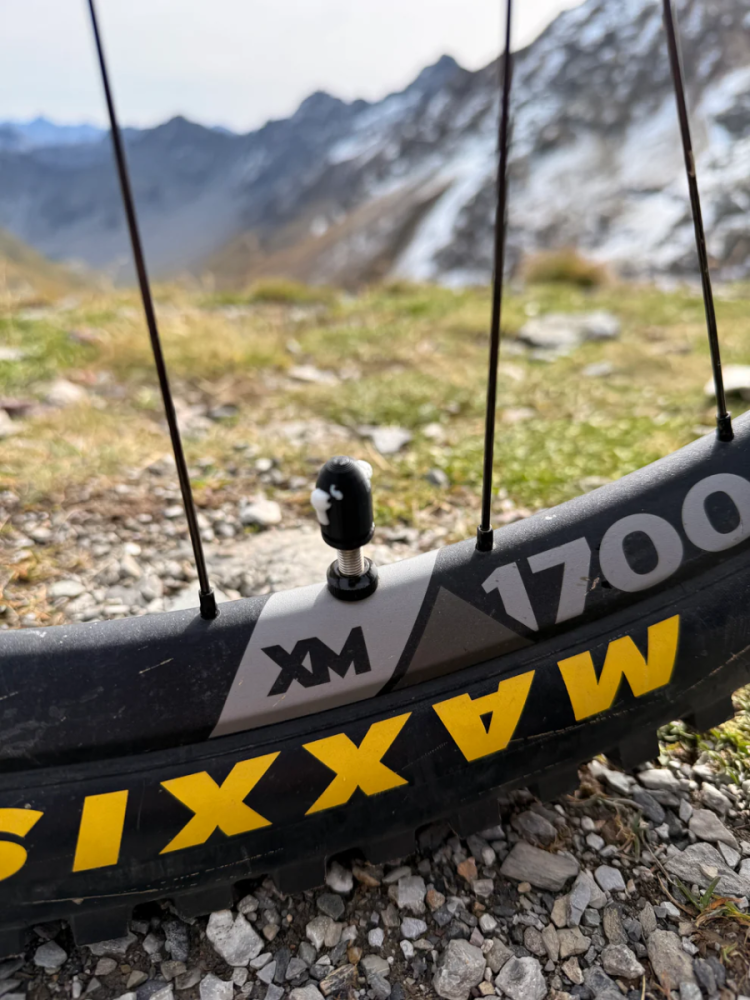 LuCycle Valvecap PETG 1 Paar - Presta, Bullet