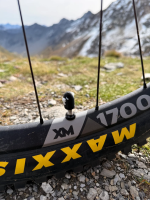 LuCycle Valvecap PETG 1 Paar - Presta, Bullet