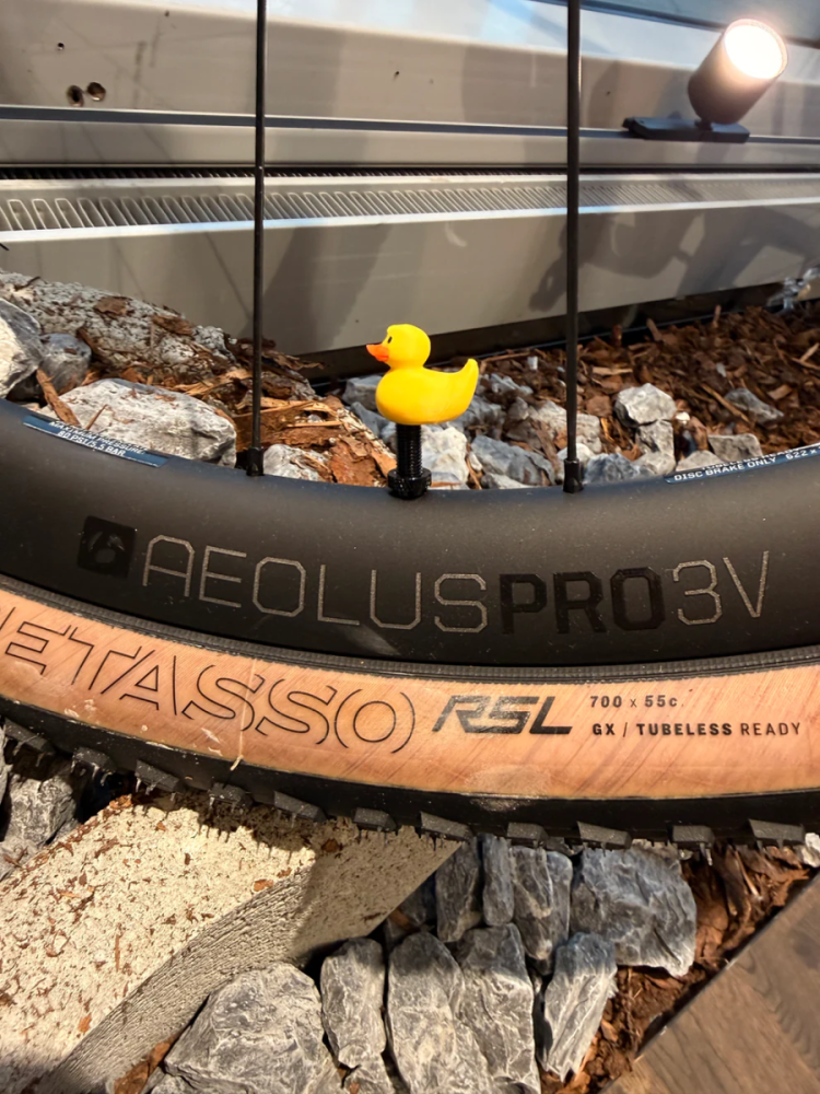 LuCycle Valvecap PETG 1 Paar - Presta, Rubberduck