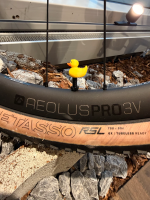 LuCycle Valvecap PETG 1 Paar - Presta, Rubberduck