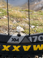 LuCycle Valvecap PETG 1 Paar - Presta, Toiletpaper