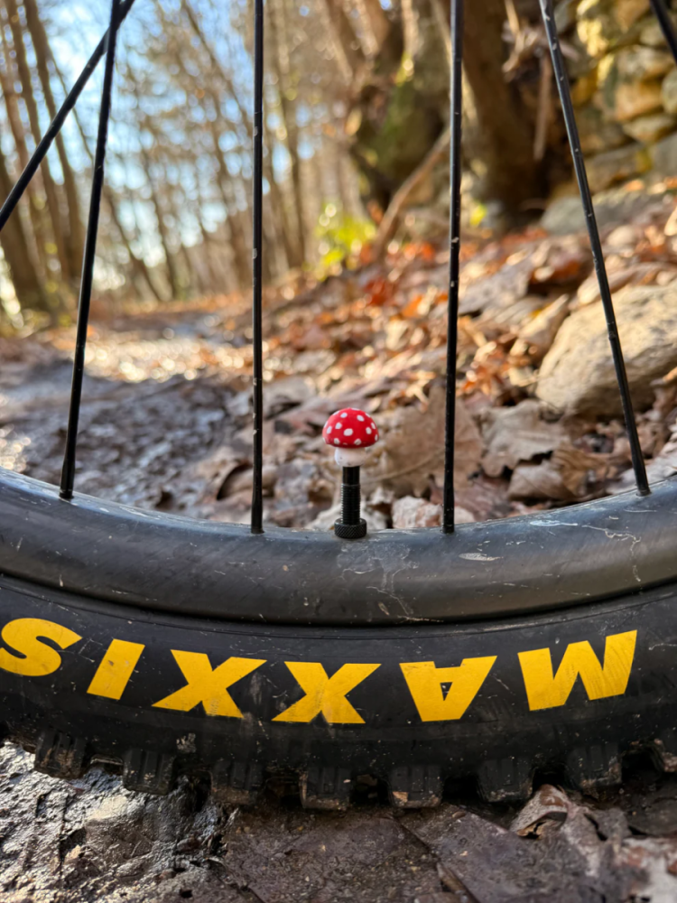 LuCycle Valvecap PETG 1 Paar - Presta, Mushroom