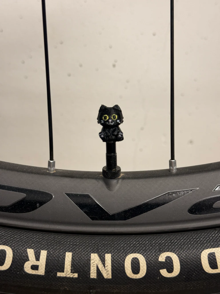 LuCycle Valvecap PETG 1 Paar - Presta, Black Cat