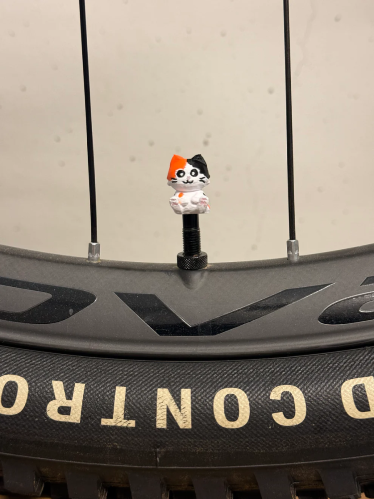 LuCycle Valvecap PETG 1 Paar - Presta, Tricolor Cat