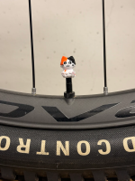 LuCycle Valvecap PETG 1 Paar - Presta, Tricolor Cat