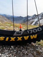 LuCycle Valvecap PETG 1 Paar - Schrader (Autoventil), Trafficone