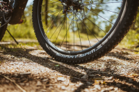 Schwalbe Pneu Smart Sam