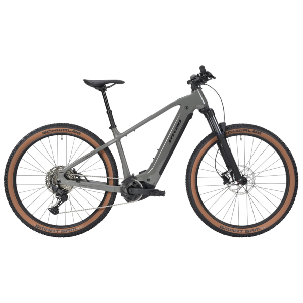 E-Mountainbike Hardtail's